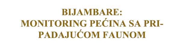 Bijamabre-monitoring-2025