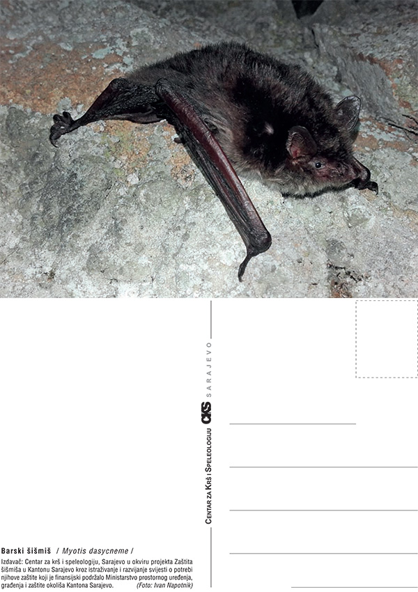 Razglednica sismisi 01