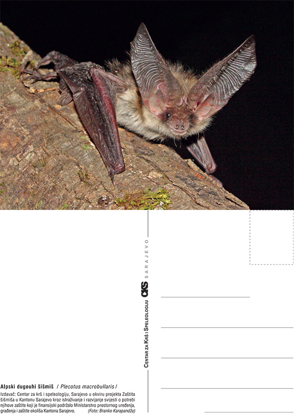 Razglednica sismisi 02