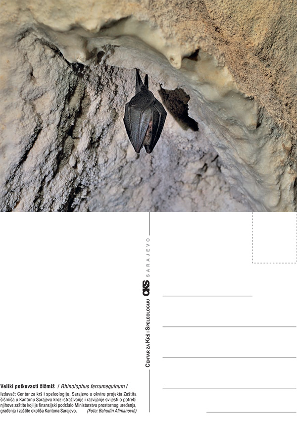 Razglednica sismisi 03