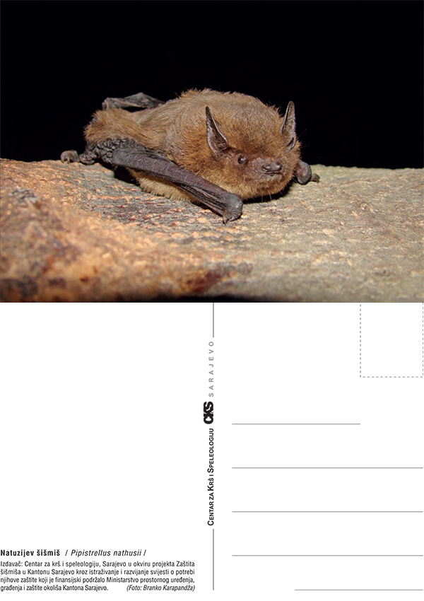 Razglednica sismisi 04